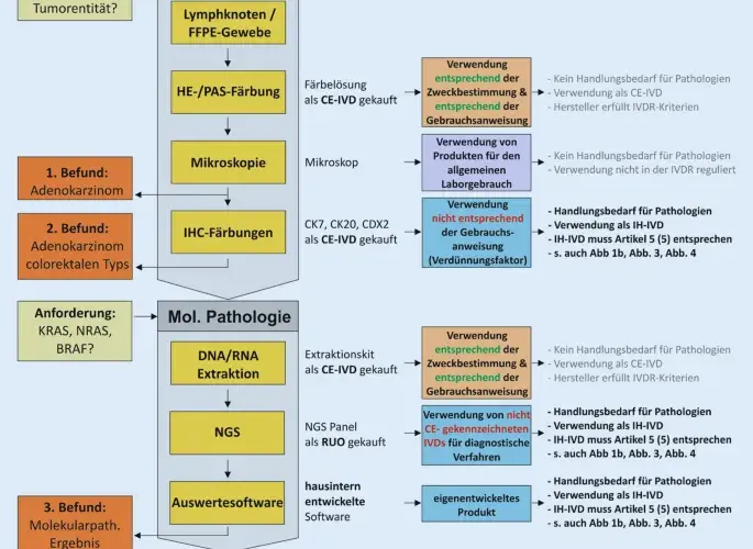 In vitro Diagnostik: Wichtige Informationen zu Tests und Vorschriften
