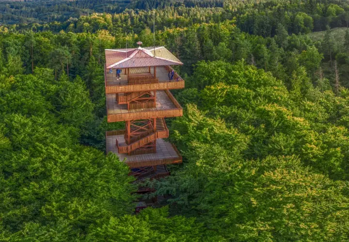 Wieża widokowa na najwyższym wzniesieniu na Kaszubach, otoczona bujnym lasem.