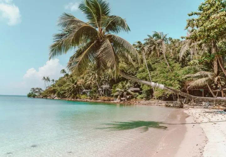Rajska plaża z palmami i krystalicznie czystą wodą. Zastanawiasz się, ile się leci do Tajlandii, by poczuć ten spokój?