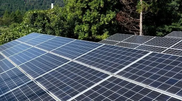 Ile kosztuje panel fotowoltaiki? Sprawdź ceny i oszczędności