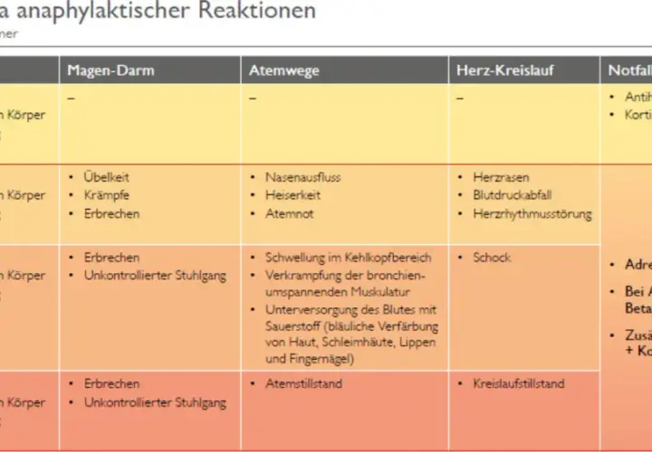 Tabelle zur Einstufung der Schwere einer anaphylaktischen Reaktion. Zeigt Symptome in Haut, Magen-Darm, Atemwegen, Herz-Kreislauf und Notfall-Medikamente.