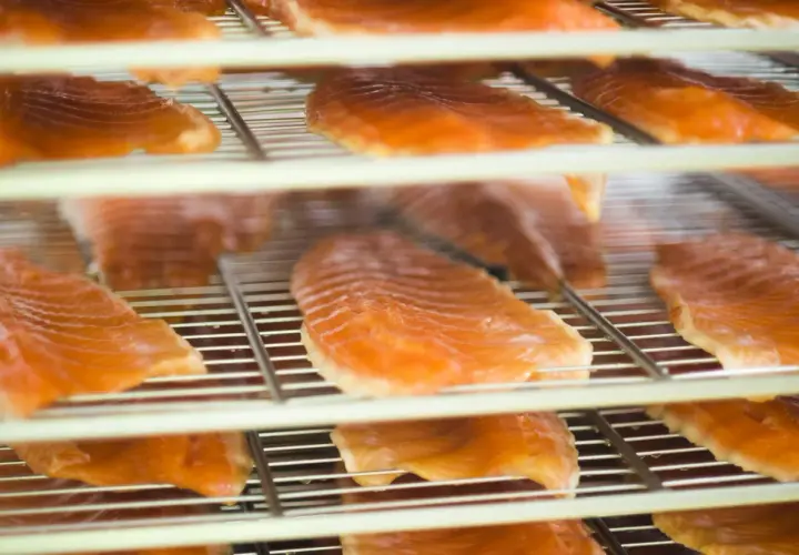 Filets de truite saumonée sur des grilles, prêts pour le temps de fumage. L'orange vif des poissons contraste avec les grilles métalliques.