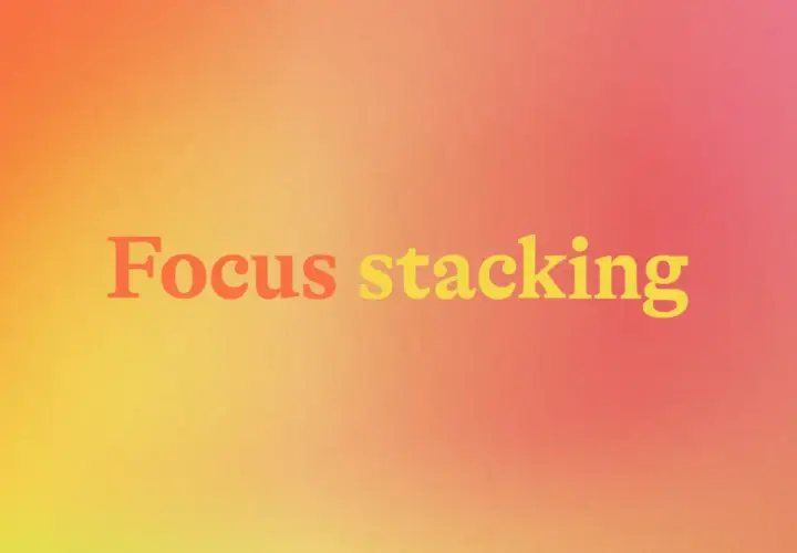 Napis "Focus stacking" na tle gradientu od pomarańczowego do różowego. Technika ta pozwala uzyskać ostrość na całym kadrze.