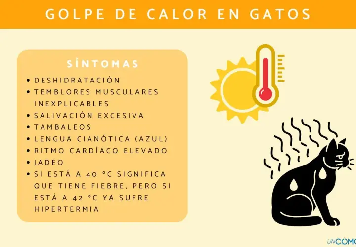 Ilustración sobre el golpe de calor en gatos, mostrando síntomas como jadeo y deshidratación. El sol y un termómetro indican altas temperaturas.