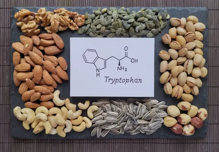 Nüsse und Samen wie Mandeln, Cashews, Walnüsse, Kürbiskerne, Sonnenblumenkerne, Pistazien und Haselnüsse umrahmen eine chemische Formel und das Wort "Tryptophan". Diese Lebensmittel sind gute Quellen für Tryptophan.