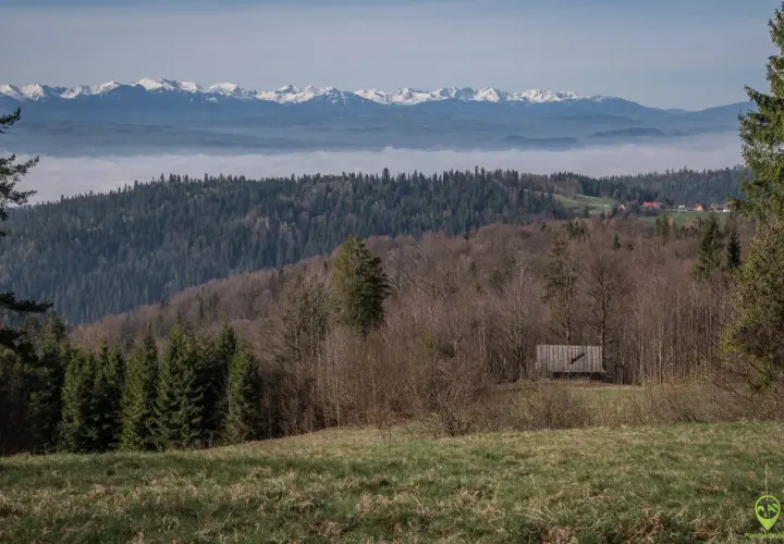 Widok na mglistą dolinę i ośnieżone gorce szczyty w oddali. Na pierwszym planie las i drewniana szopa.