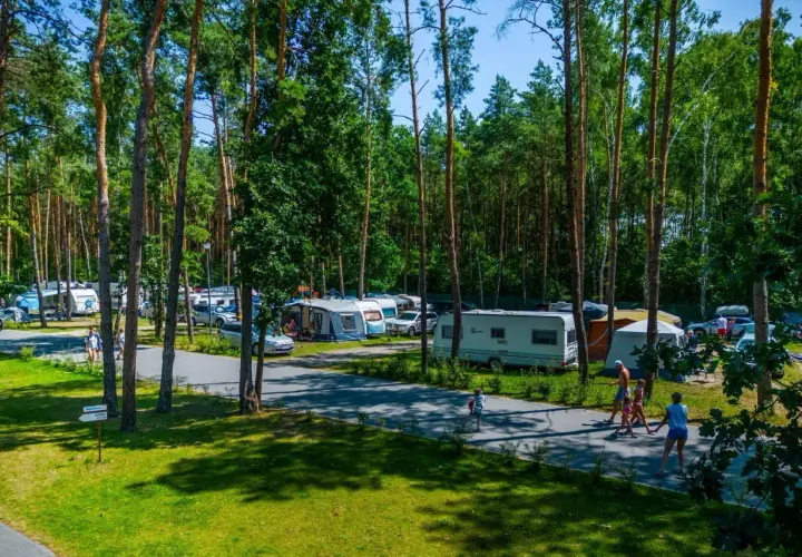 Ośrodek wypoczynkowy Zagłębocze tętni życiem. Kemping pełen przyczep, kamperów i namiotów, wśród sosen. Rodziny spacerują pośród zieleni.