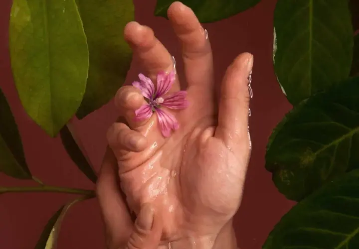 Main délicate tenant une fleur rose, entourée de feuilles vertes. Une image évoquant la sérénité et les bienfaits du Jin Shin Jyutsu.