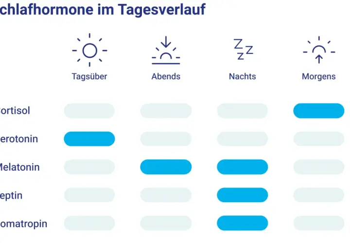 Tagesverlauf von Schlafhormonen: Serotonin ist tagsüber hoch, Melatonin steigt nachts an.