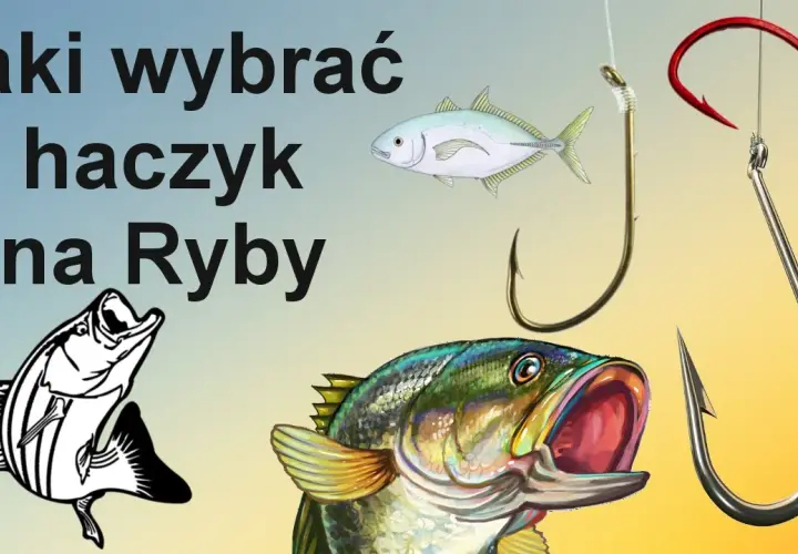 Haczyk na płoć: Klucz do sukcesu? Rozmiar, kształt, drut wybierz mądrze!