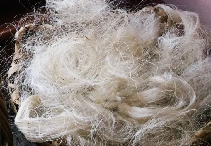 Fibre brute, prête pour la fabrication de la soie. Un tas de fils blancs et fins dans un panier en osier.