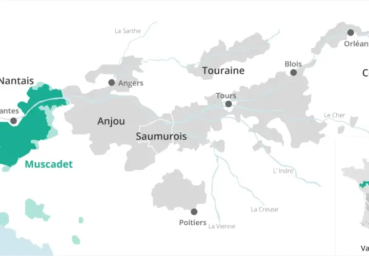 Carte des régions viticoles de la Loire, mettant en évidence le vignoble nantais et le Muscadet.
