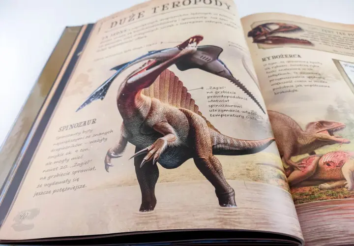 Otwarta książka z ilustracją Spinozaura, idealna jako najlepsza książka o dinozaurach dla dzieci. Pokazuje jego wielkość i cechy.