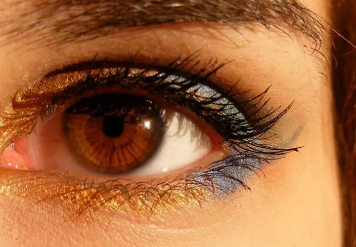 Ojos marrones con un espectacular maquillaje dorado y azul brillante.