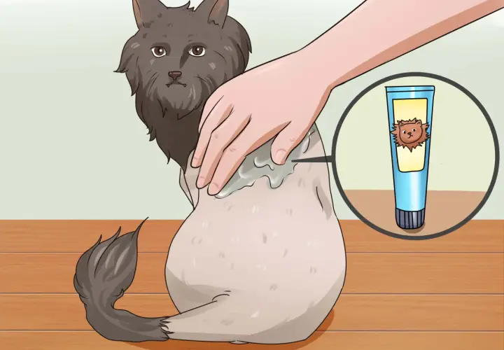 A hand applies cream to a fluffy cat's back, showing a tube of cream with a lion-like cat on it. This illustrates how to shave a cat.