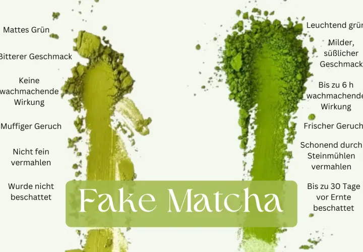 Vergleich von "Fake Matcha" (links, mattgrün, bitter) mit hochwertigem, zeremoniellen Matcha (rechts, leuchtend grün, mild, süßlich).