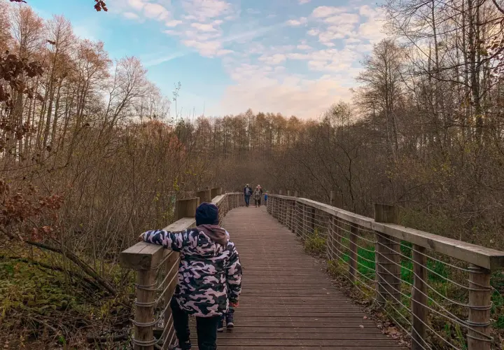 Dzieci spacerują drewnianym pomostem przez łosiowe błota. Jesienny las otacza ścieżkę, a niebo jest lekko zachmurzone.