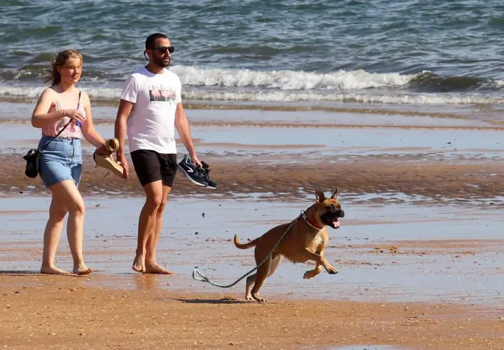 Pareja pasea por la playa con su perro, disfrutando de uno de los mejores playas para ir con perros.