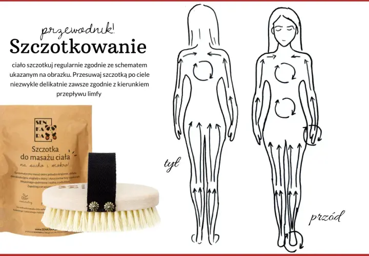 Przewodnik po szczotkowaniu na sucho. Schemat masażu ciała zgodnie z kierunkiem przepływu limfy. Szczotka do masażu ciała.