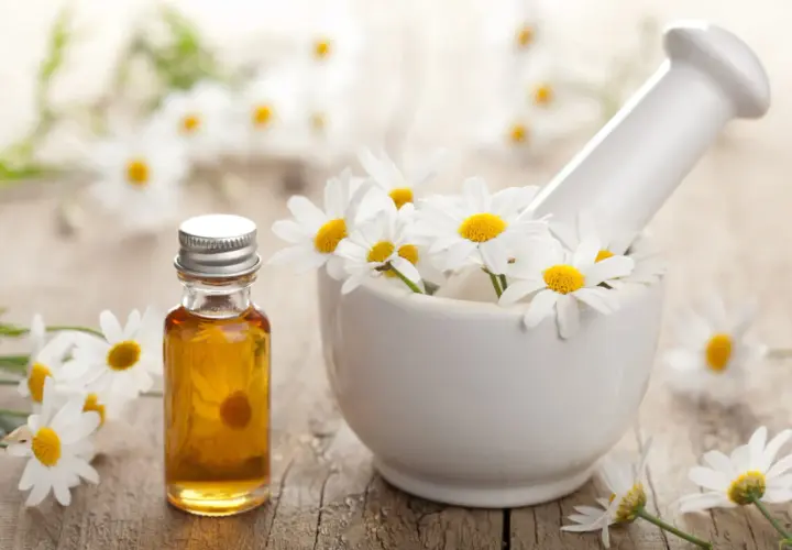 Huile essentielle de camomille romaine dans un flacon, entourée de fleurs fraîches dans un mortier. Découvrez les camomille romaine bienfaits pour la relaxation.