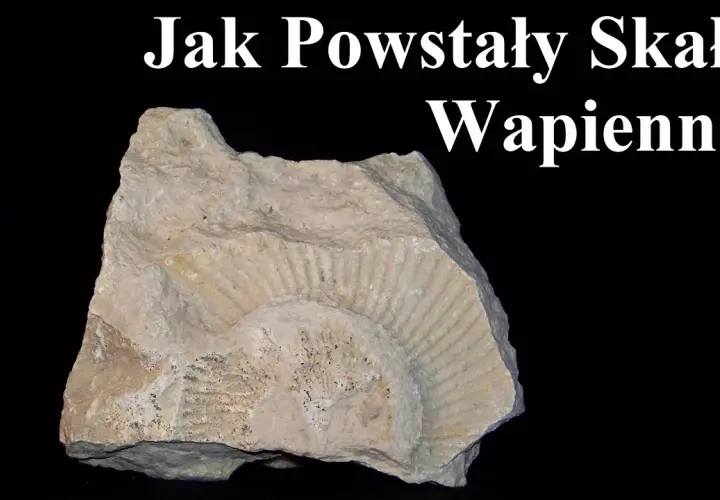 Jak powstały skały wapienne? Odkryj tajemnice ich formowania