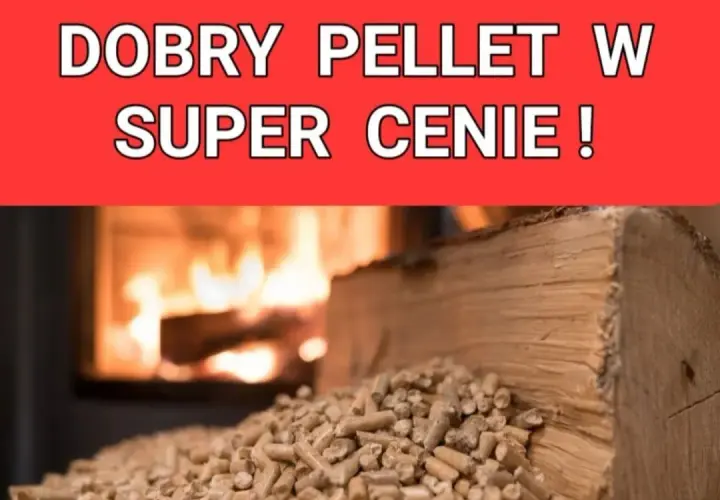 Pellet Olimp czy Barlinek - który wybór przyniesie lepsze efekty?