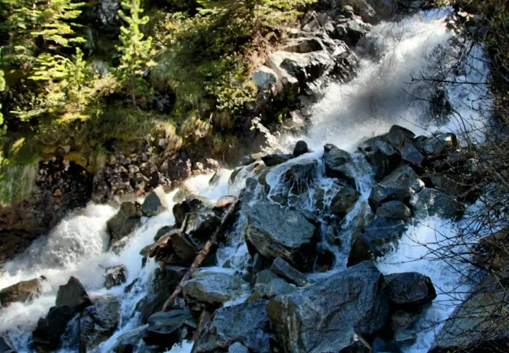 Agua blanca cae sobre rocas oscuras en una cascada de Gerber, rodeada de pinos verdes y vegetación.