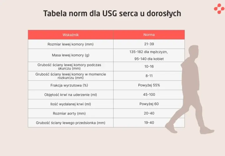 Tabela norm dla USG serca u dorosłych: rozmiar, masa, grubości ścian, frakcja wyrzutowa, objętość krwi na uderzenie i ilość wydalanej krwi.