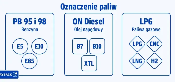 Diesel, ropa, benzyna: Czym się różnią i jak nie pomylić na stacji?