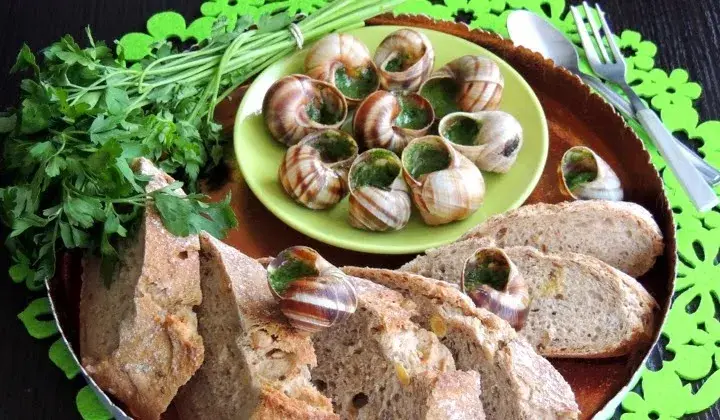 Escargots: kulinarne skarby, zdrowotne korzyści i historia ślimaków