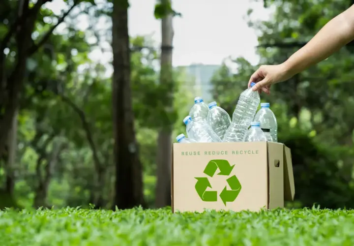 Co to recykling? Poznaj proces, rodzaje i korzyści dla planety