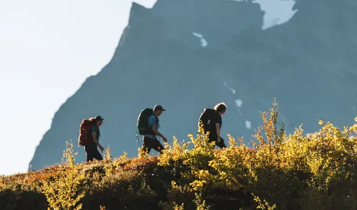 Vandrare på väg mot Kebnekaise från Nikkaluokta, med höstens färger och fjäll i bakgrunden.
