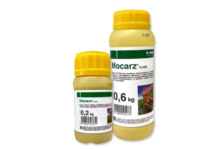Mocarz: Cena, Skład, Objawy Zatrucia i Prawne Konsekwencje