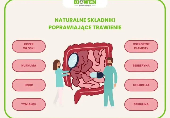 Naturalne składniki jak koper włoski, kurkuma, imbir, tymianek, ostropest plamisty, berberyna, chlorella i spirulina pomagają jak poprawić trawienie żołądka.