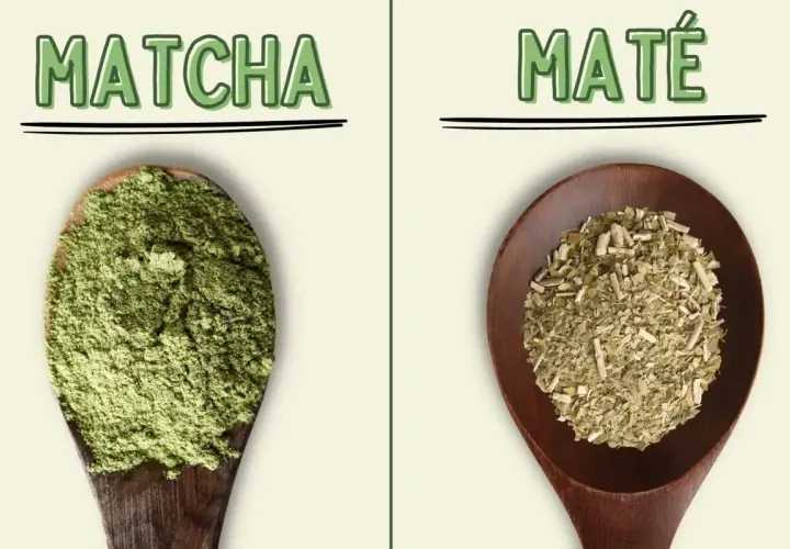 Fein gemahlenes Matcha-Pulver und zerkleinerte Mate-Blätter auf Holzlöffeln. Ein visueller Vergleich von Matcha vs. Mate.