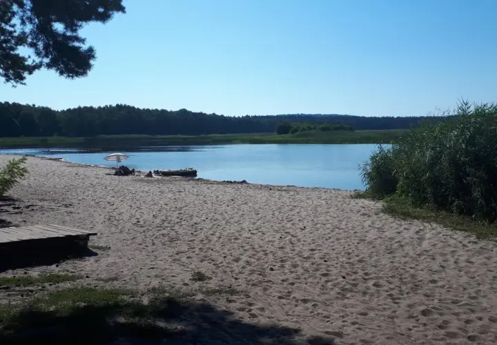 Piękna plaża nad jeziorem, idealna na spacer. Zwierzyniec trasa zaprasza do odpoczynku.