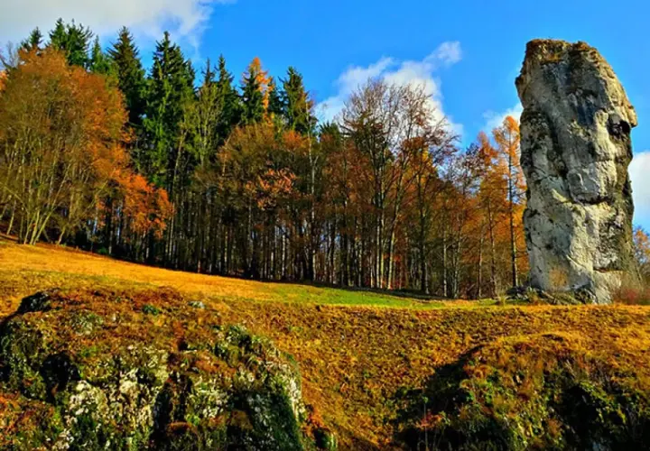 Jesienna trasa Maczuga Herkulesa. Olbrzymia skała góruje nad złotymi polami i kolorowym lasem.