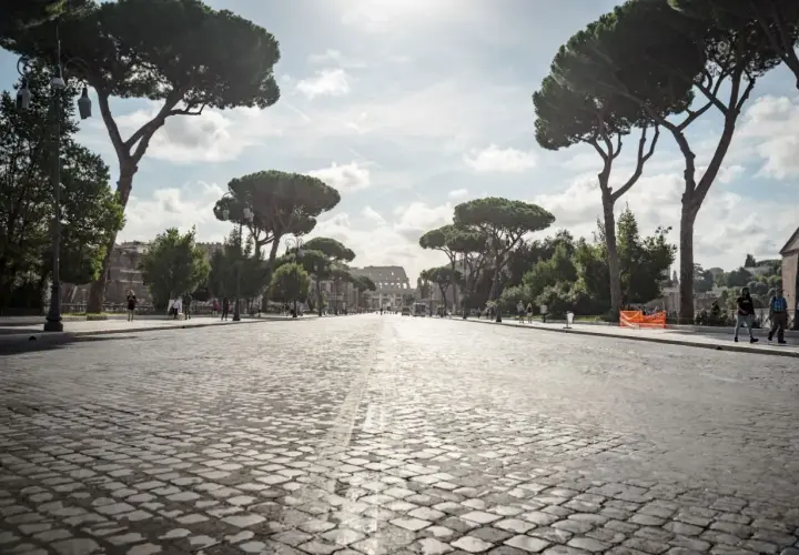 Viale alberato con pini marittimi che conduce al Colosseo, un'icona del re di Roma quartiere. Passeggiata suggestiva su sampietrini.