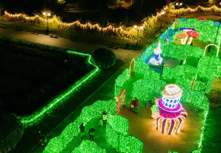 Magiczny park miliona świateł nocą. Zielone labirynty, kolorowe grzyby i gigantyczne ciastko tworzą bajkową scenerię.