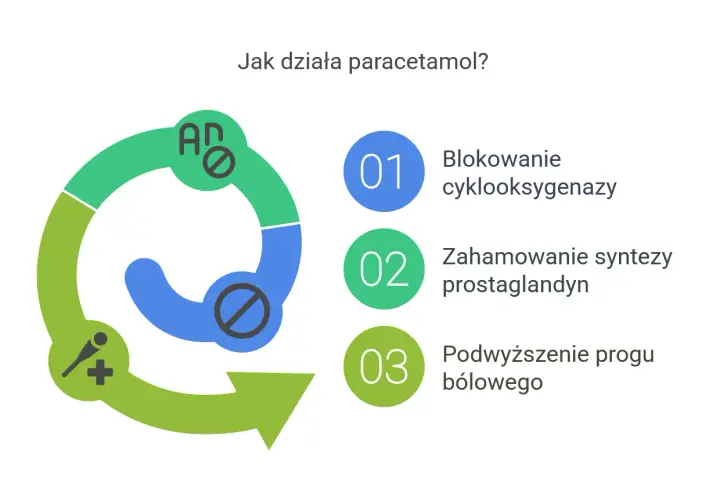 Schemat wyjaśnia, jak działa paracetamol: blokuje cyklooksygenazę, hamuje syntezę prostaglandyn i podwyższa próg bólowy.