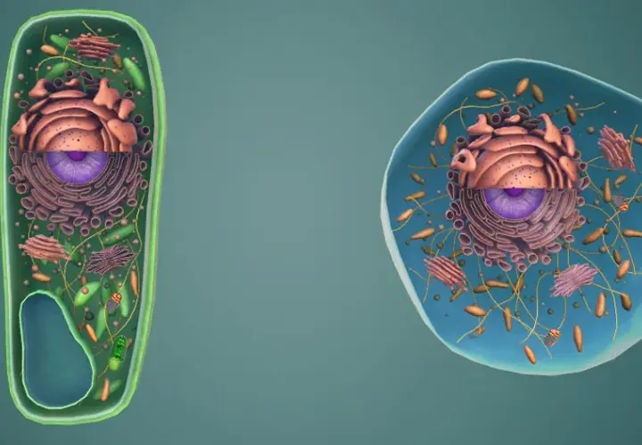 Co to jest komórka w biologii? Kluczowe funkcje i rodzaje komórek