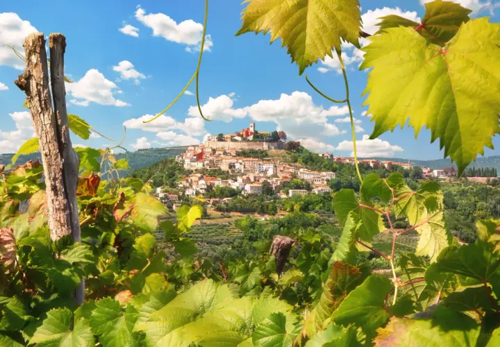 Najlepsze atrakcje Istrii, które musisz zobaczyć podczas wizyty