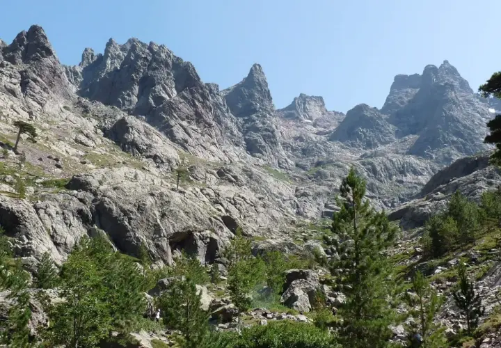 Skaliste zbocza górskie z sosnami, prowadzące ku szczytom. Widok na najwyższy szczyt Korsyki, Monte Cinto, w słoneczny dzień.