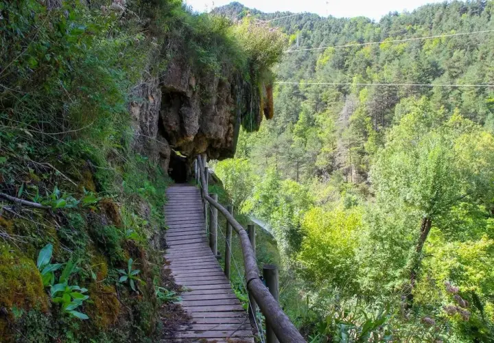 Pasarela de madera junto a un acantilado cubierto de vegetación, ideal para rutas senderismo Catalunya. Bosque frondoso al fondo.