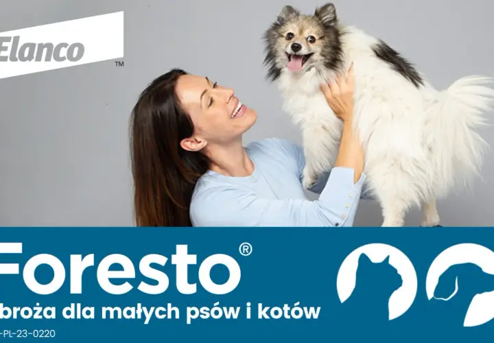 Jak założyć psu obrożę przeciwpchelną i uniknąć błędów w aplikacji