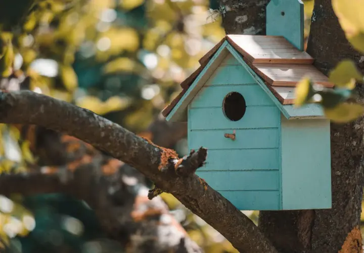 Casa para pájaros azul turquesa, con techo de madera, colgada en un árbol. Ideal para aprender como hacer una casa para pajaros.