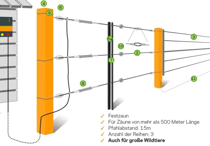 Schema eines Weidezauns für Rinder, der die Vorschriften für Pfahlabstand und Reihenanzahl zeigt. Auch für Wildtiere geeignet.
