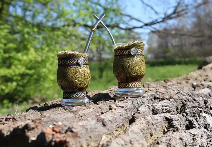 Yerba mate w Łodzi: 5 miejsc, gdzie kupisz najwyższej jakości