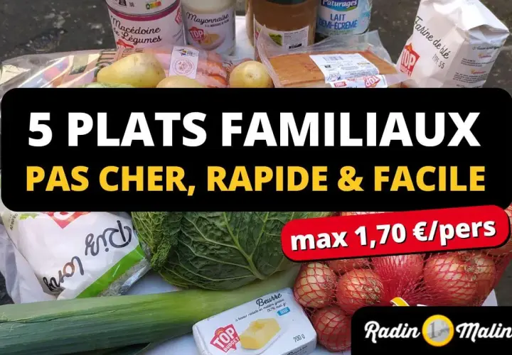 Ingrédients pour une recette pas cher : légumes, beurre, farine, lait, pommes de terre, oignons. Idéal pour 5 plats familiaux rapides et faciles.