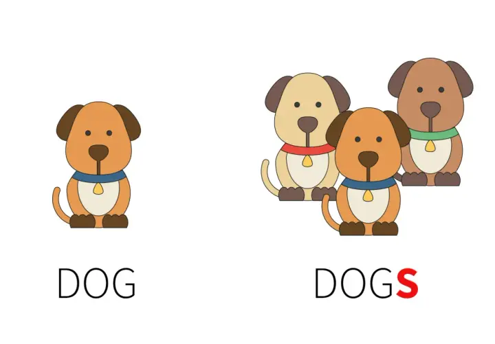 Un cane (dog) e tre cani (dogs). Illustrazione per capire i sostantivi numerabili e non numerabili in inglese.